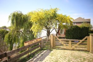 Home IMG_3723