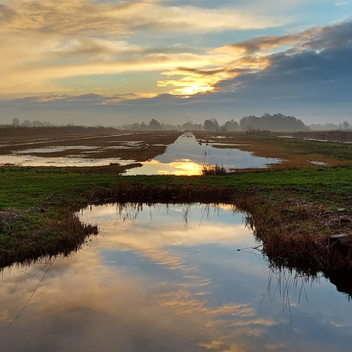 krimpenerwaard 2